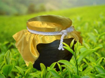 Lý Do Mohodo Sử Dụng Chum Sành Để Ủ Trà